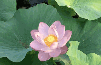 為響應(yīng)環(huán)保政策，盤(pán)錦水處理廠(chǎng)家推出節(jié)能高效水處理技術(shù)